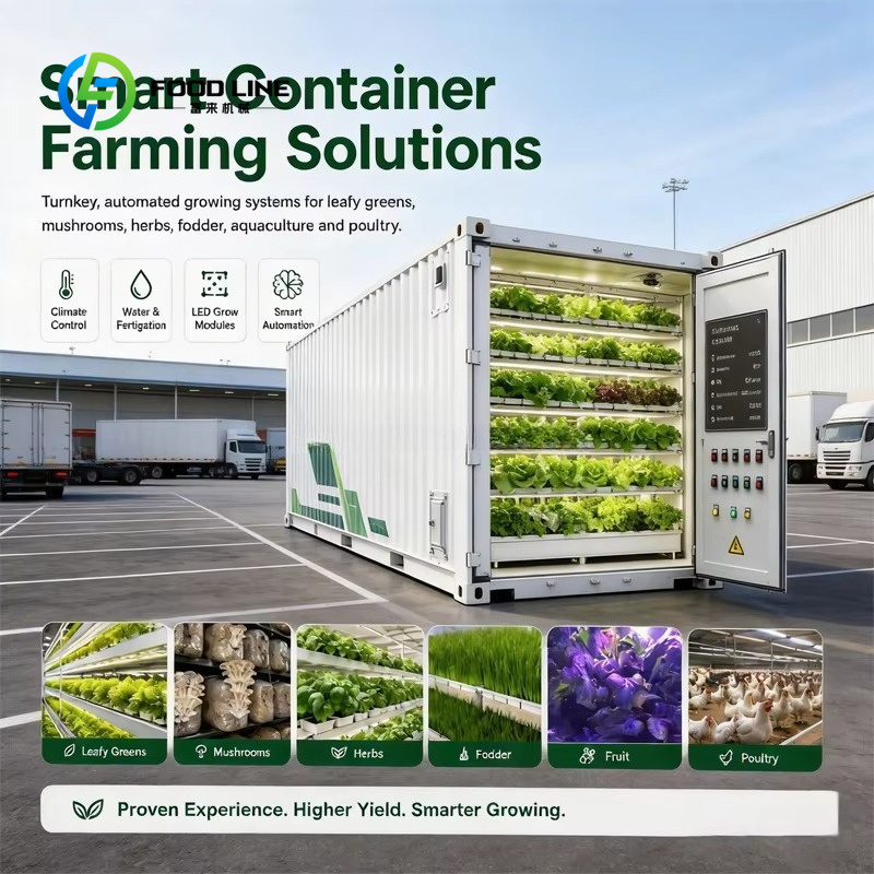 Farming Agriculture Project - Hydroponische Containerfarm für kommerziellen Blattgemüseanbau Vertikale