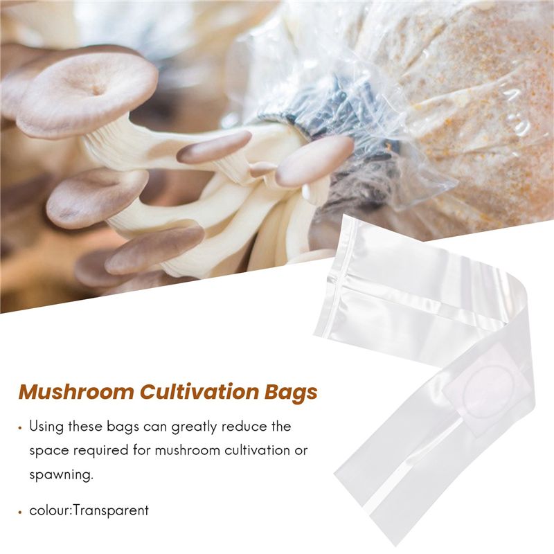 100 Stück Pilzzuchtbeutel Spaw – Mushroom Spawn Bag Bewertung und Preis