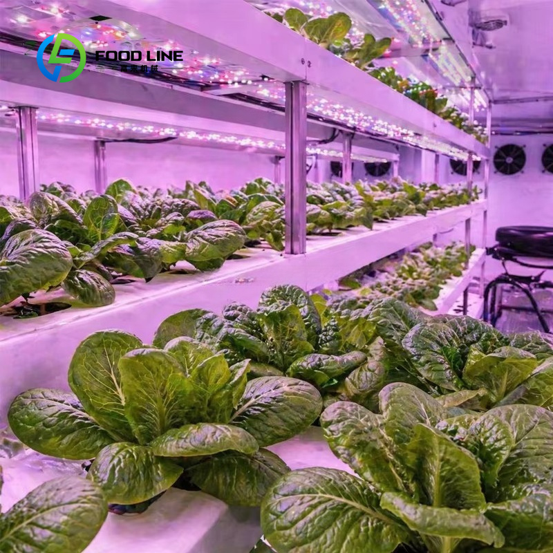Hydroponische Containerfarm fü – Farming Agriculture Project Bewertung und Preis
