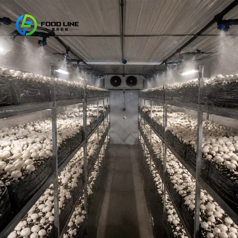 Container-Farm Vertikales Anba – Farming Agriculture Project Bewertung und Preis