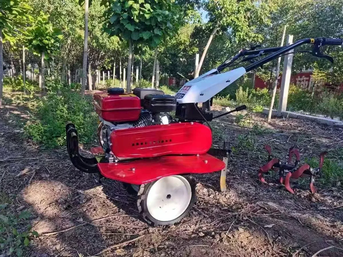 Meistverkaufter Bester Bodenfr – Organic Farming Of Agriculture Bewertung und Preis