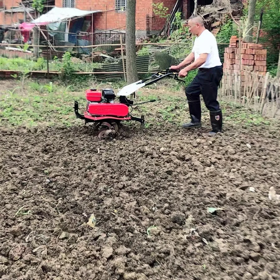 Meistverkaufter Bester Bodenfr – Organic Farming Of Agriculture Bewertung und Preis