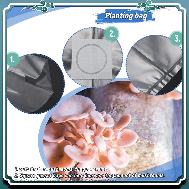 50 Stück 10x20 Zoll PVC Pilzzu – Mushroom Spawn Bag Bewertung und Preis