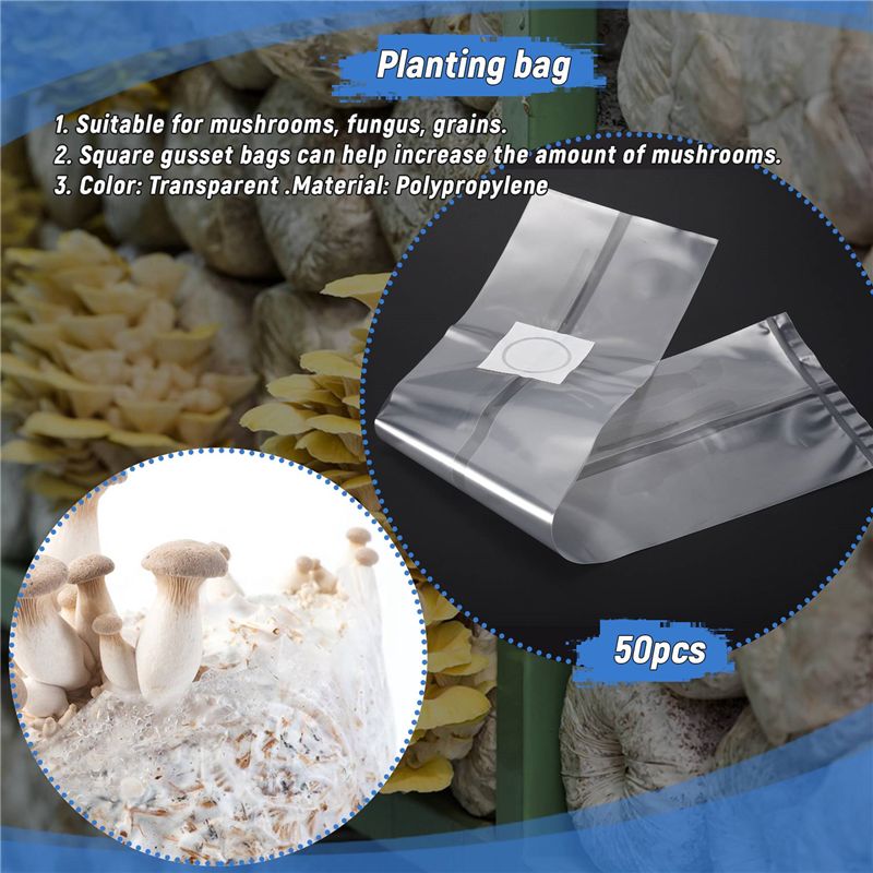 50 Stück 10x20 Zoll PVC Pilzzu – Mushroom Spawn Bag Bewertung und Preis