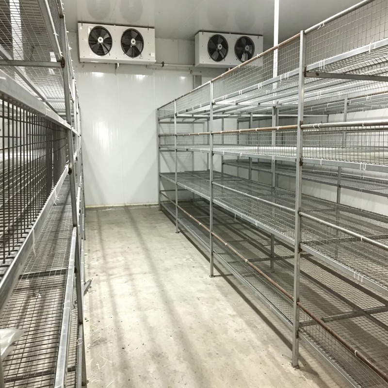 Hydroponische Containerfarm mi – Farming Agriculture Project Bewertung und Preis