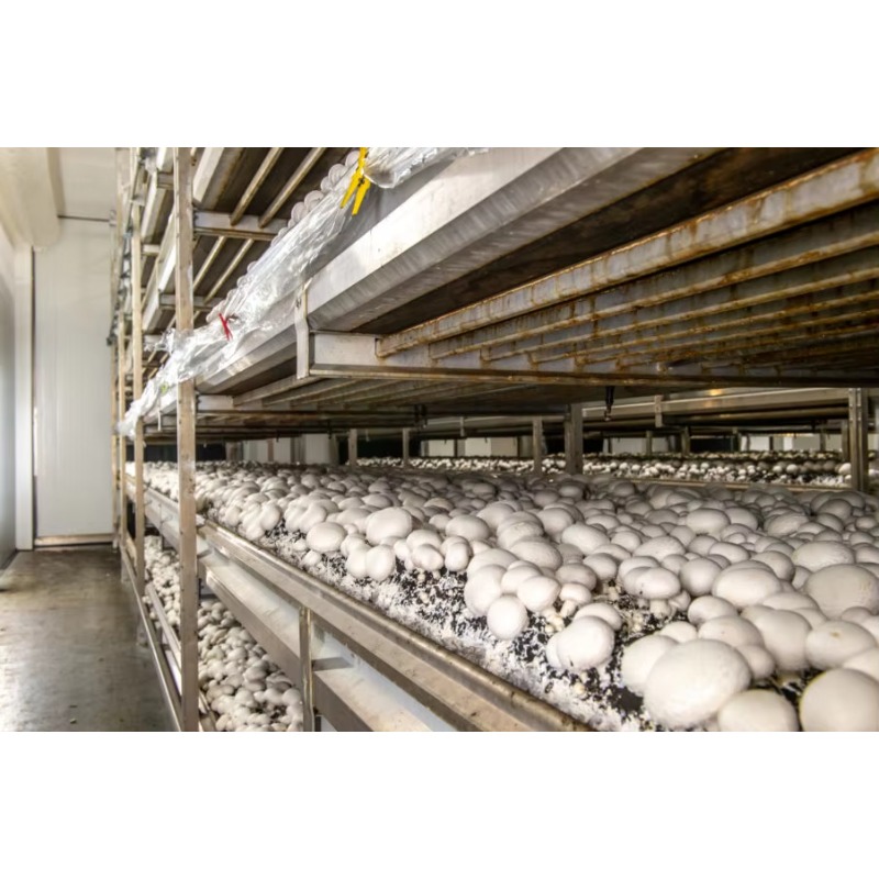 Hydroponische Containerfarm mi – Farming Agriculture Project Bewertung und Preis
