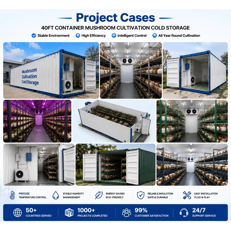 Hydroponische Containerfarm mi – Farming Agriculture Project Bewertung und Preis