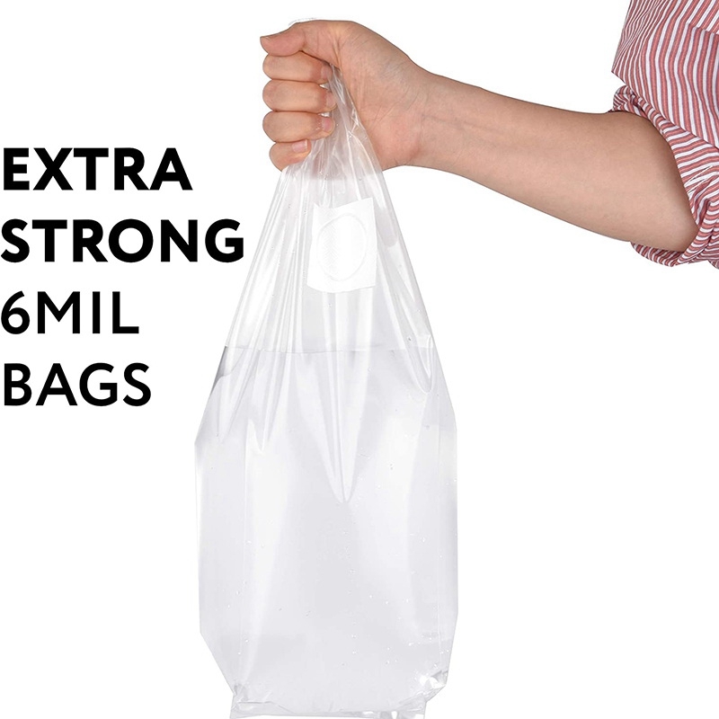 100 Stück Pilzzuchtbeutel, Dic – Mushroom Spawn Bag Bewertung und Preis