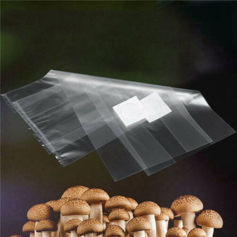 AT44-100 Stück PVC Pilzbrut-Be – Mushroom Spawn Bag Bewertung und Preis