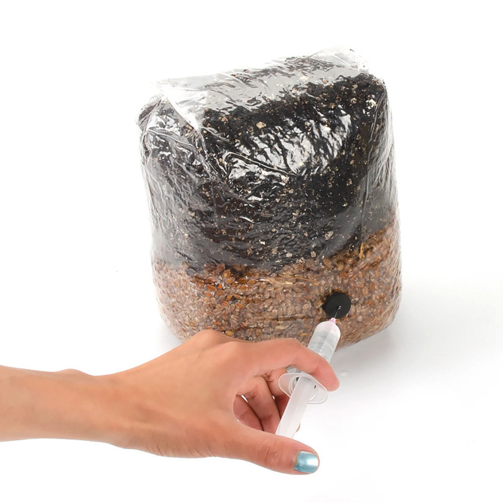20 Stück Pilzzuchtbeutel aus k – Mushroom Spawn Bag Bewertung und Preis