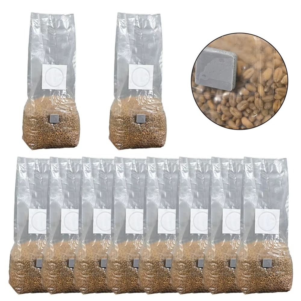 50 Stück PP Pilz Pflanzbeutel  – Mushroom Spawn Bag Bewertung und Preis