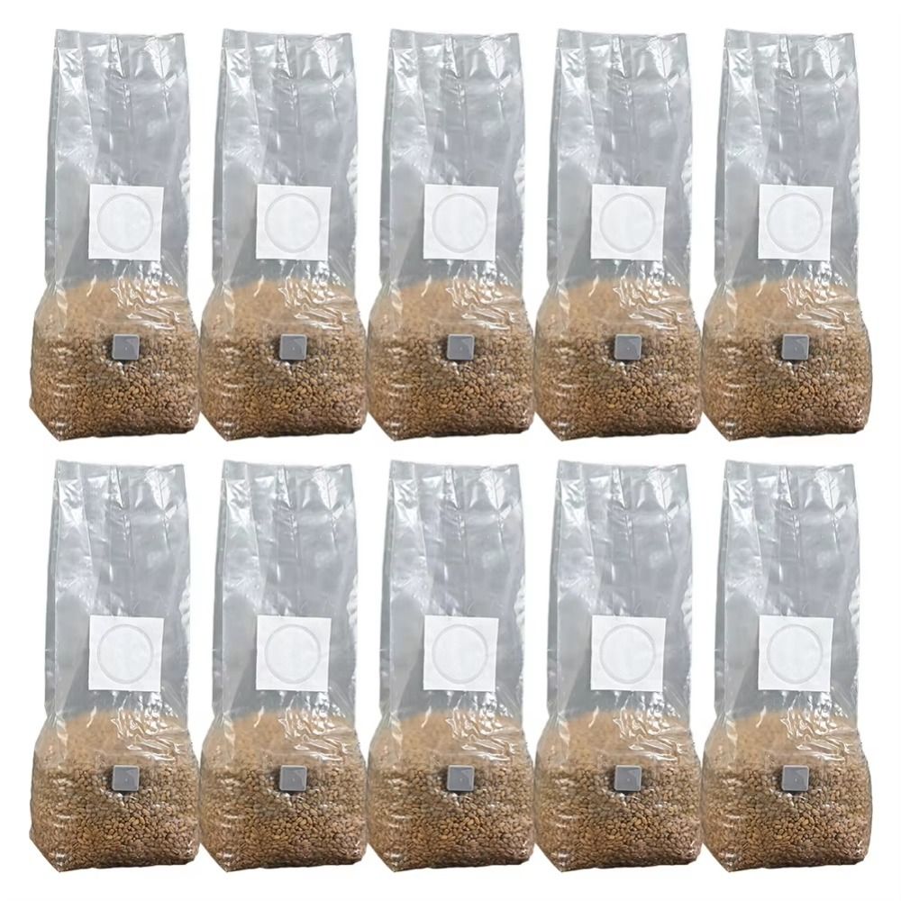 50 Stück PP Pilz Pflanzbeutel  – Mushroom Spawn Bag Bewertung und Preis