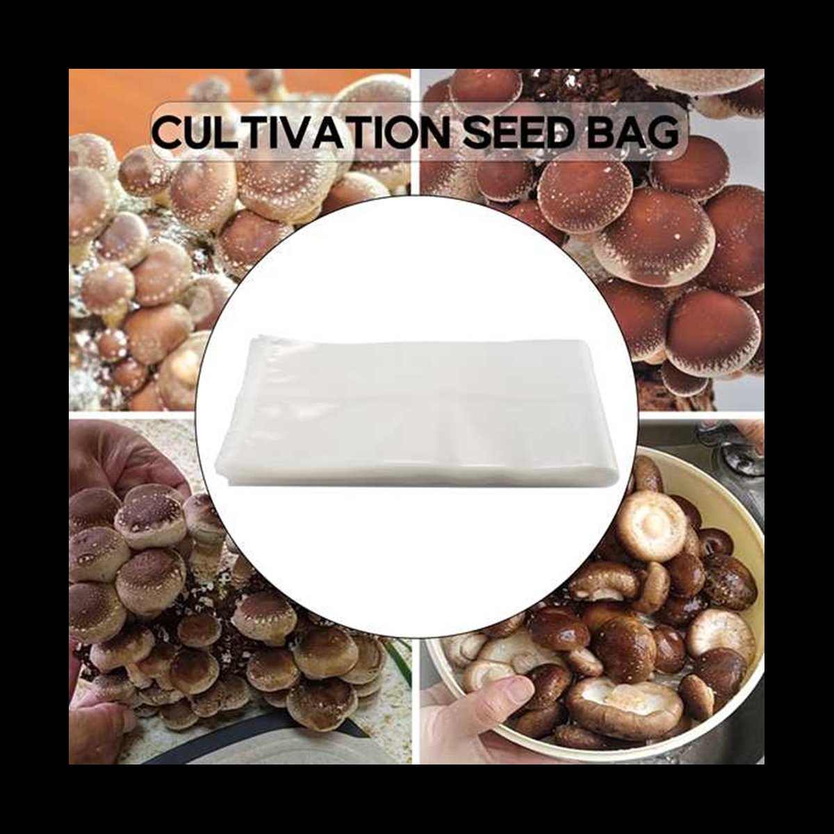 A78I 50 Stück Pilzbeutel/Pilzz – Mushroom Spawn Bag Bewertung und Preis